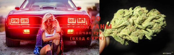 ECSTASY Богородск