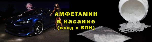 прущие грибы Богородицк