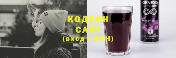 прущие грибы Богородицк