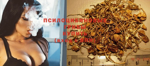 тгк Богданович