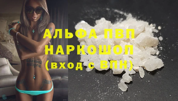 прущие грибы Богородицк