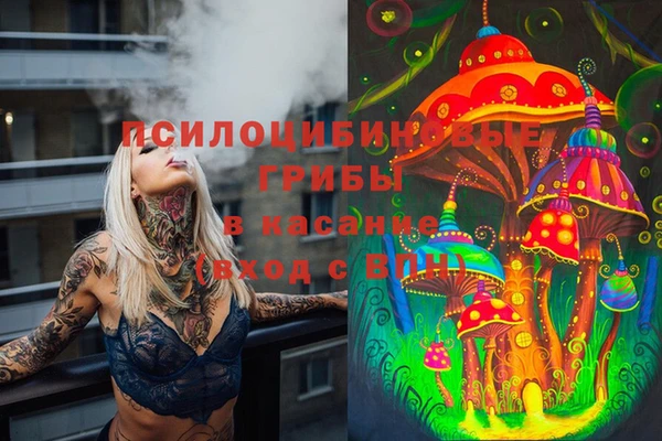 ECSTASY Богородск