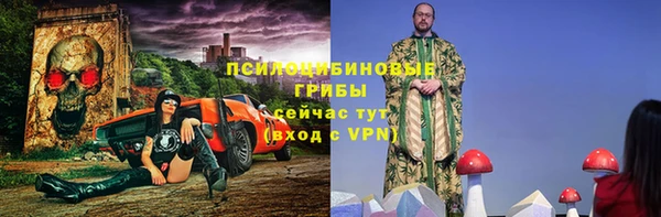 прущие грибы Богородицк