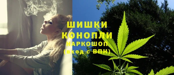 тгк Богданович
