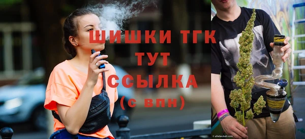 прущие грибы Богородицк